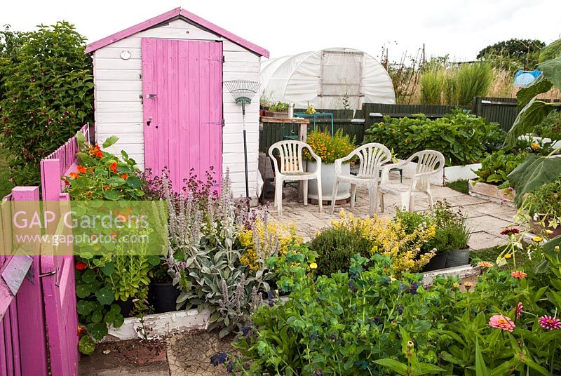Allotment with pick painted woodwork and sitting area