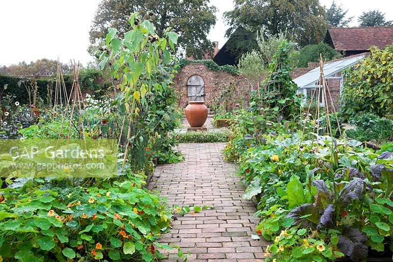 Walled kitchen garden at Brightling Down Farm in October. Lean to greenhouse and central terracotta olive jar bubbling water feature. Self seeded Nasturtiums,Sunflowers and Marigolds tumble over the brick paths, while late crops of Courgettes, Mustard leaves, Runner Beans, Kale, Lettuce, abound