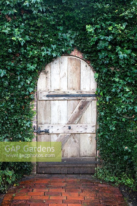 Ivy clad entrance with rustic Oak door to walled kitchen garden -  Brightling Down Farm.