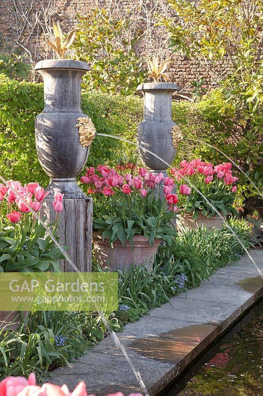 Tulipa 'Pink Impression' in containers alongside pool and Italianate water fountains in The Collector Earl's Garden at Arundel Castle, Sussex in spring. Head Gardener: Martin Duncan