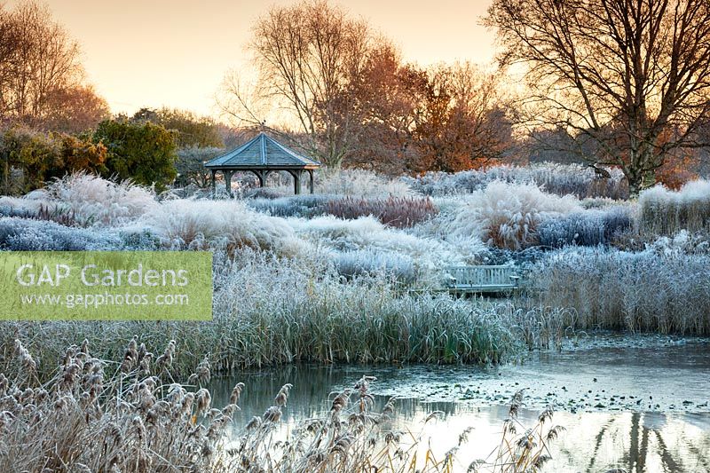 The Milennium Garden at Pensthorpe in Norfolk in Winter designed by Piet Oudolf.