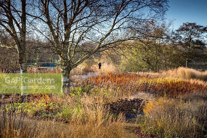 The Milennium Garden at Pensthorpe in Norfolk 