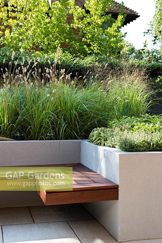 Contemporary seat and raised bed with Pennisetum thunbergii 'red buttons', Salvia officinalis 'Kew Gold', Thymus 'Silver Queen'