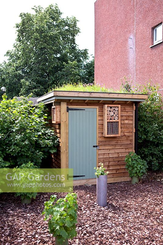 Environmental shed with living roof, Clapton Park Estate
