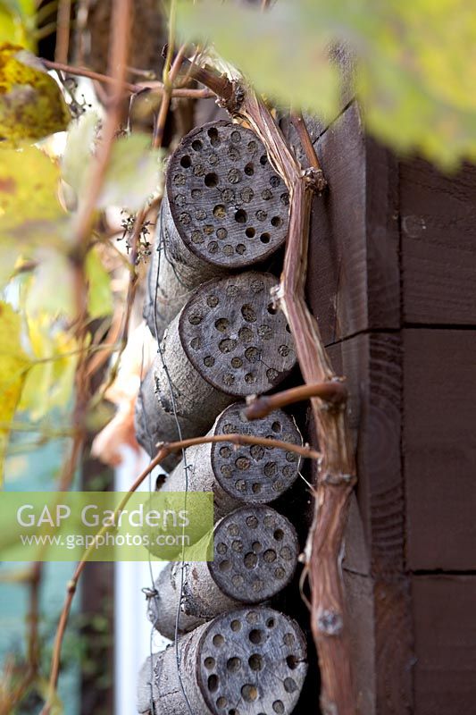 Bee Hotel made from logs in community garden