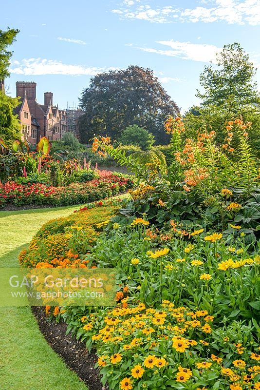 Orange and yellow themed border with rudbeckias, marigolds, tagetes, Lilium henryi and ligularia. The Fellows Garden, Clare College, Cambridge.