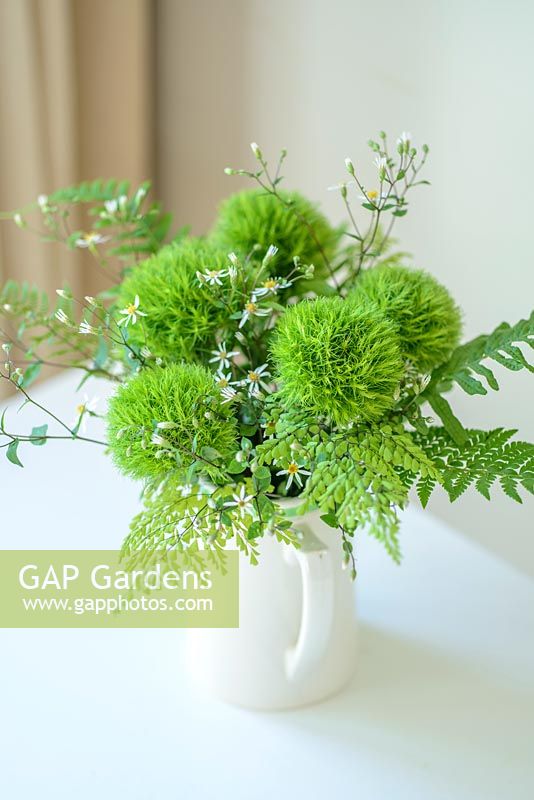 Green Sweet Williams in an arrangement with fern leaves