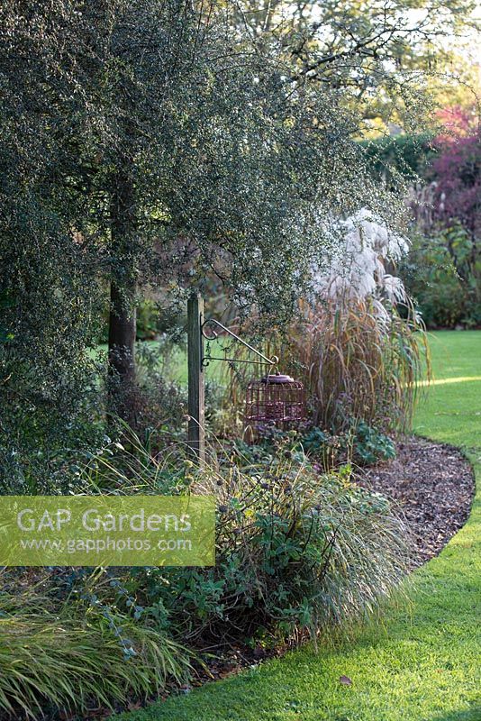 Bird feeder in a border with Berberis 'Stapehillensis' and Miscanthus sinensis  'Memory'
