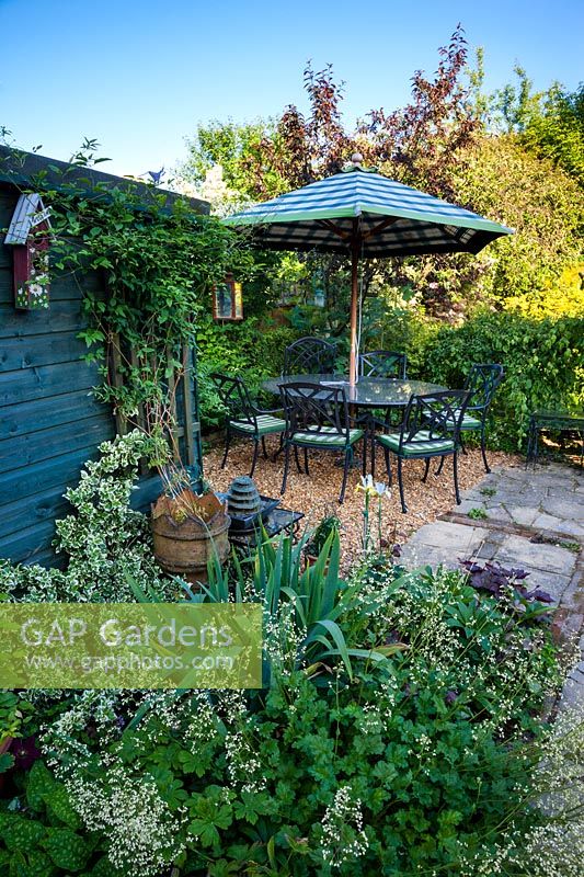 Seating area, with wooden garage, Clematis grows in reclaimed chimney pot, with variegated Euonymous - Spindle and sprays of Tiarella cordifolia