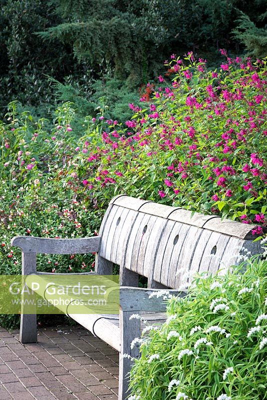 Wooden garden bench in late summer border