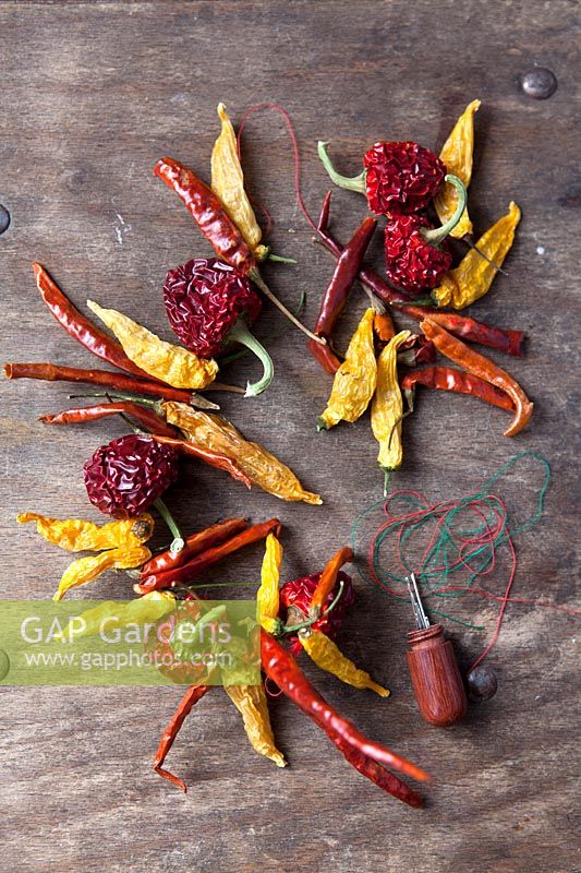 Making a dried chili wreath on wooden background