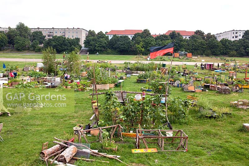 Vegetable garden at Tempelhof Urban Community Garden, Berlin
