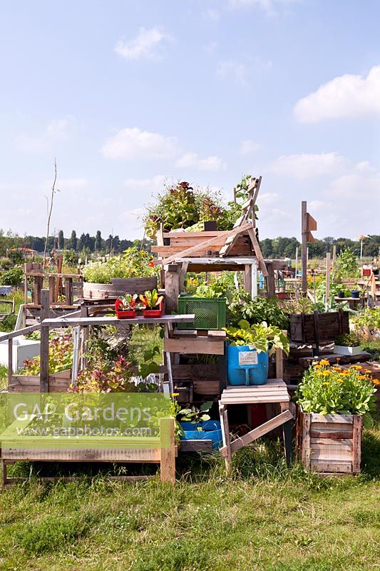 Vegetables growing in containers at Tempelhof Urban Community Garden, Berlin