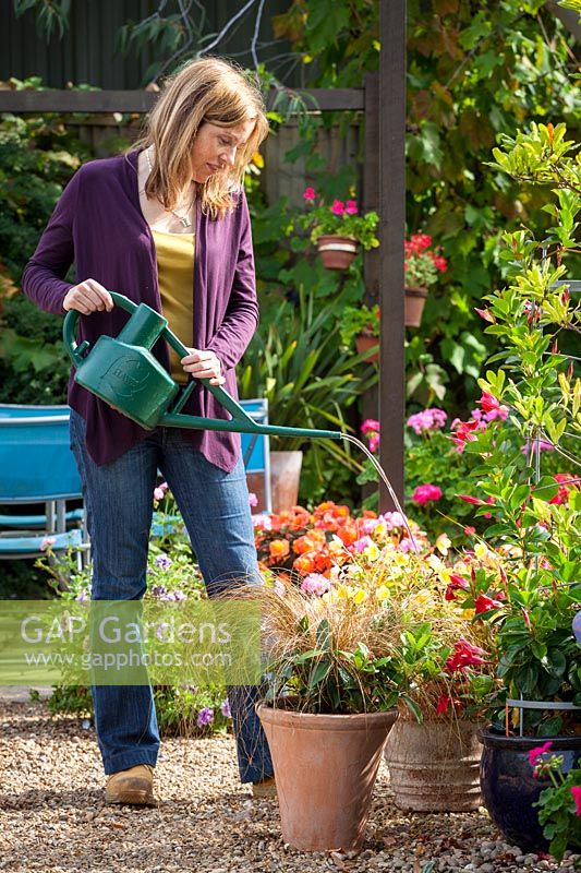 Watering biological control into patio containers, September