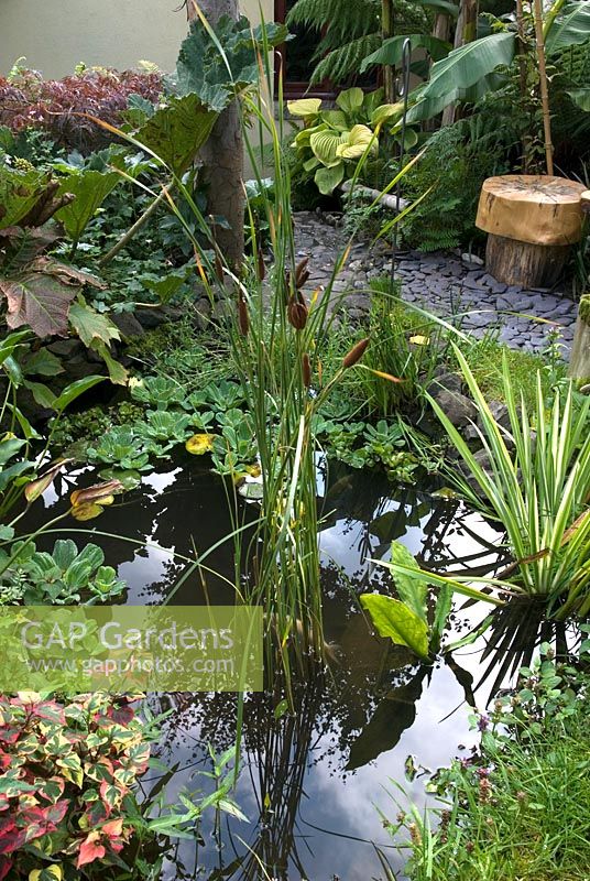 Small pond with exotic planting, September