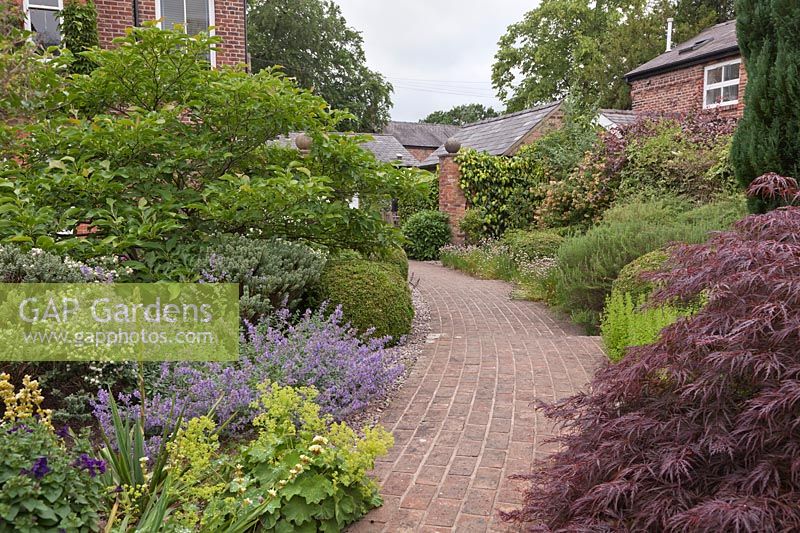 Red brick curving pathway with shrubs and perennials and buildings beyond - June, Cheshire