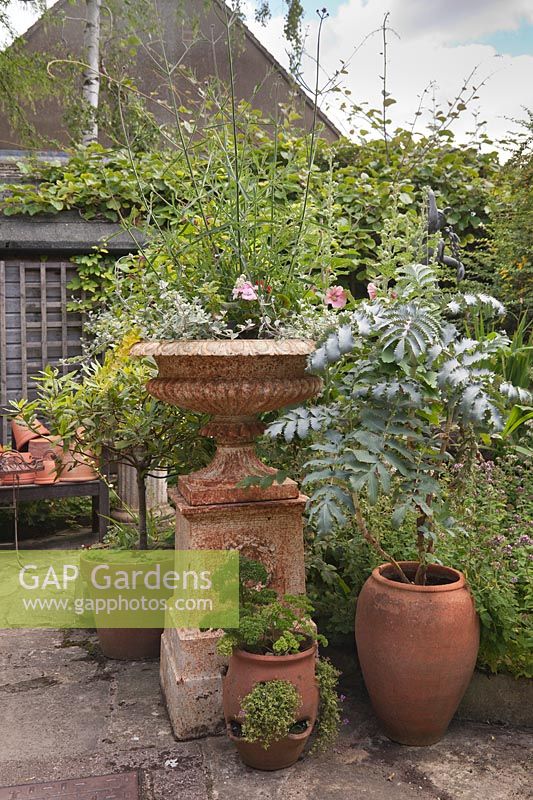 Antique cast iron urn on pedestal on patio with summer planting - July