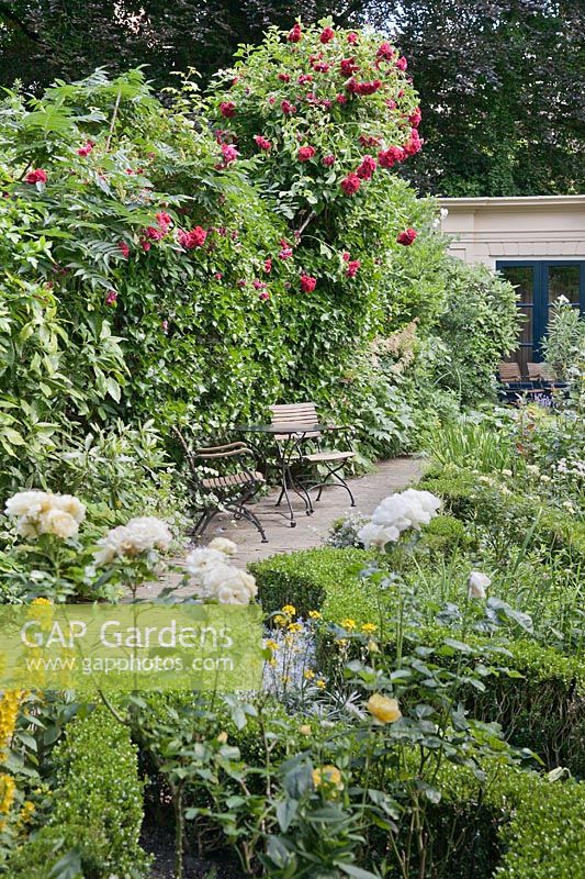 Brick path leading to classical style garden room with formal beds and Rosa 'Flammentanz' - June