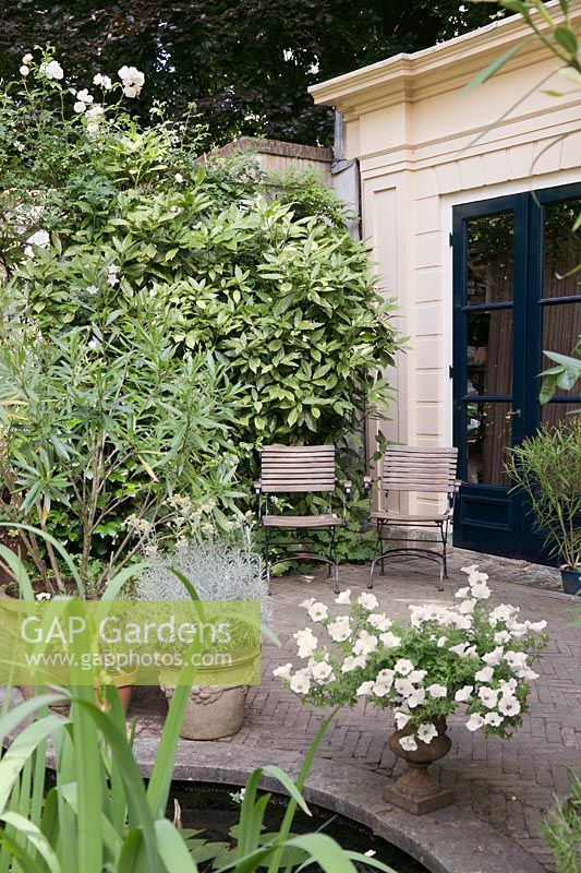 Grouped pots and wooden seats on patio in front of classical style garden room, June