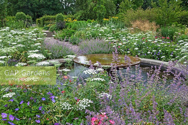 Summer garden with water feature, Anthriscus sylvestris, Geranium, Rosa, Stipa gigantea, Salvia  - RHS Wisley, UK