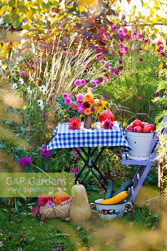 Display of autumn flowers and produce on garden table - Dahlia, Solidago, Zinnia
