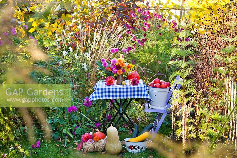 Display of autumn flowers and produce on garden table - Dahlia, Solidago, Zinnia