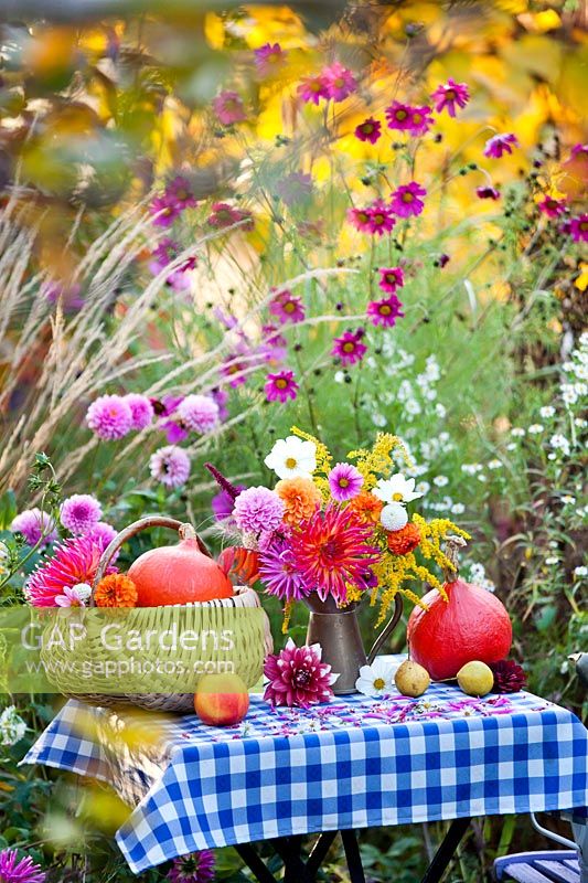 Display of autumn flowers and produce - Dahlia, Solidago, Zinnia