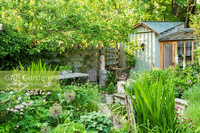 Small town garden in spring with ornamental garden shed and leanto greenhouse. Raised beds made from reclaimed bricks and stone. May