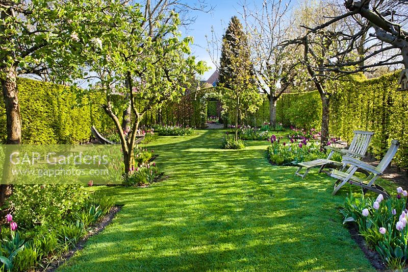 Garden in spring with tulip borders and loungers, April.