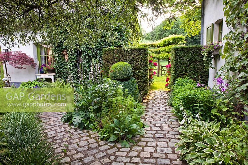 Courtyard with paving path, borders of perennials, yew hedging and box topiary. Dina Deferme garden, July.