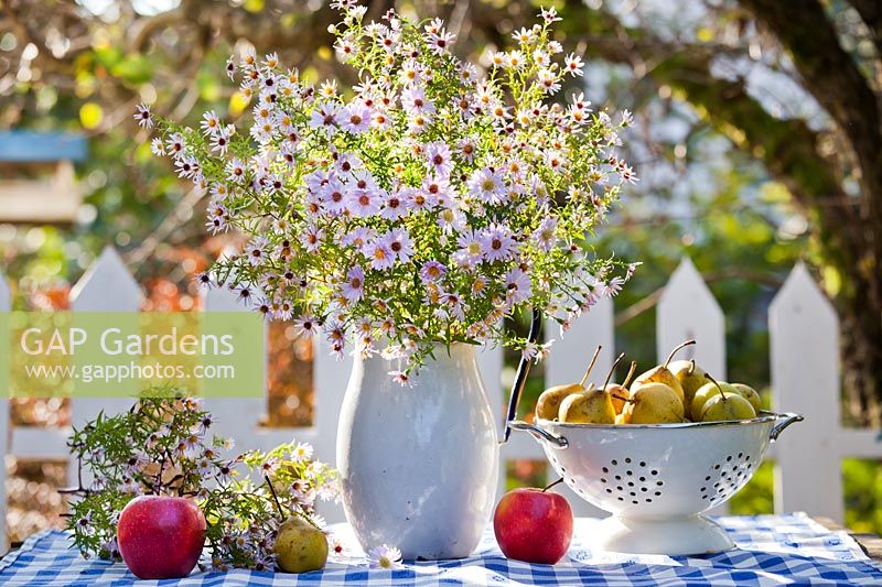 Jug of asters and harvested fruit on table, October.