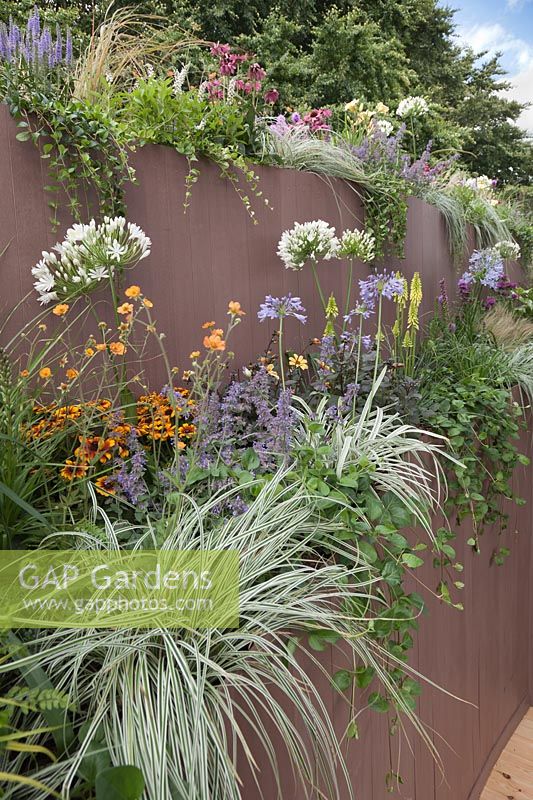 A wall of raised beds makes use of small spaces and is planted up with a mix of perennials such as Agapanthus 'Silver Moon', Geum 'Totally Tangerine' and Kniphofia 'Lemon Popsicle' in the Live Garden at Tatton RHS Flower Show 2017