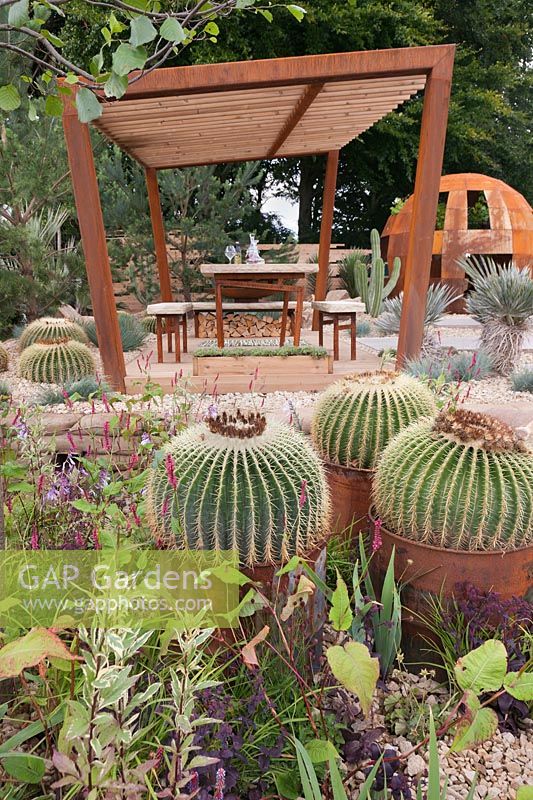 A corroded steel frame pergola with thermowood roof slats with Echinocactus grusonii growing in rusty oil-drums and other drought-tolerant cacti and perennials in the Cactus Direct:2101 Garden at Tatton RHS Flower Show 2017