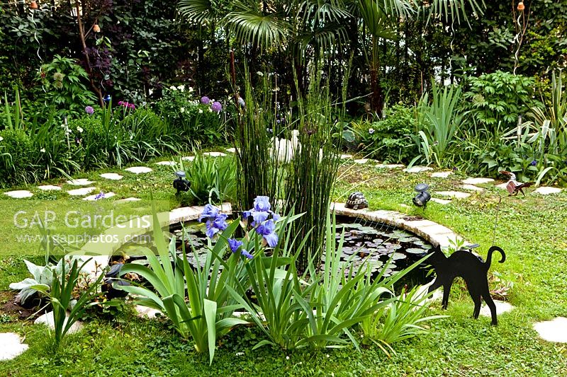 Small circular pond with Iris 'Mer du Sud'. Gaetano Zoccali garden. Milan. Italy