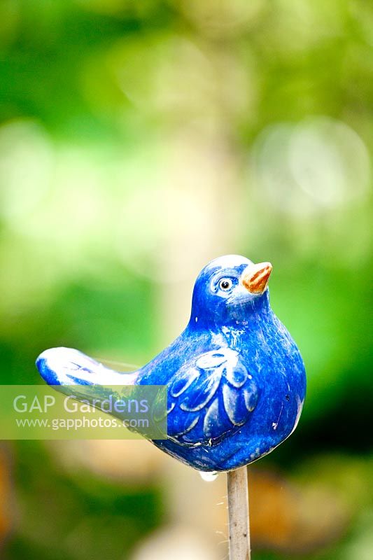 Little bird from Columbia Flower Market - Gaetano Zoccali garden. Milan. Italy