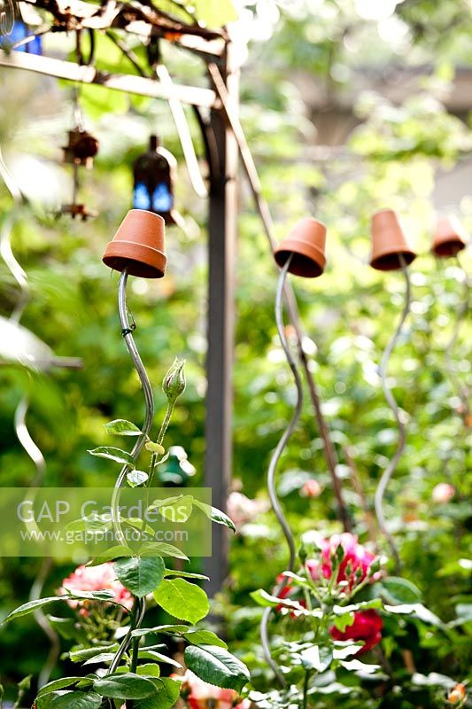 Metal spiral plant supports with cane toppers - Gaetano Zoccali garden. Milan. Italy