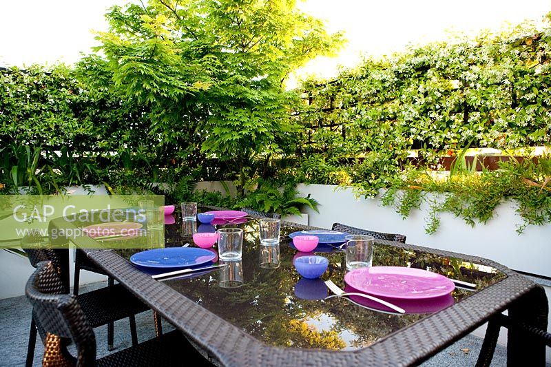 Acer and trellis surrounds dining area on terrace, Milan, Italy.
