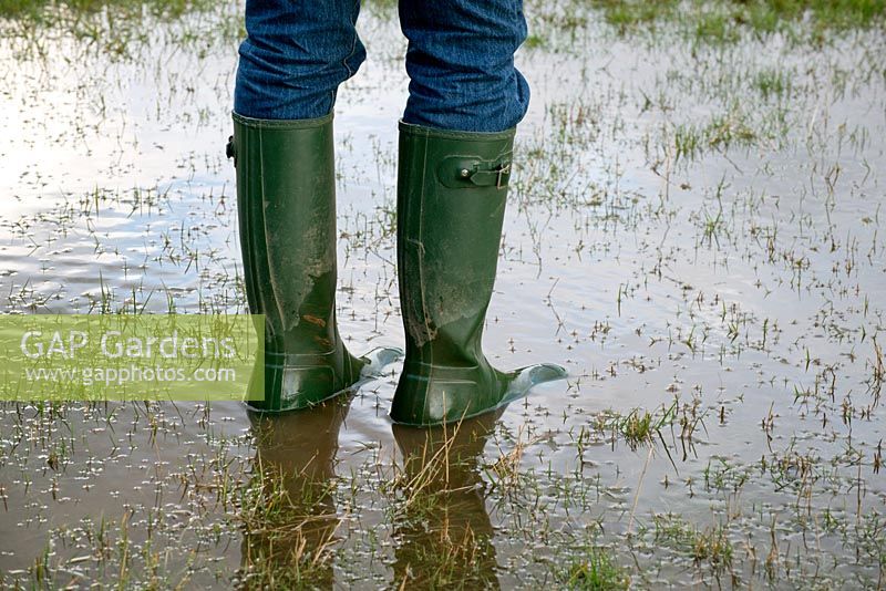 Man wearing Wellington boots and standing in a flooded field, March.