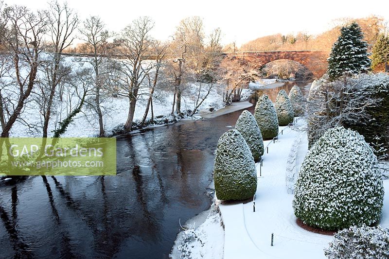 Gardens of Brig O' Doon House Hotel with line of clipped Leylandii trees, Burns National Heritage Park, Alloway, Ayr, Scotland, January.