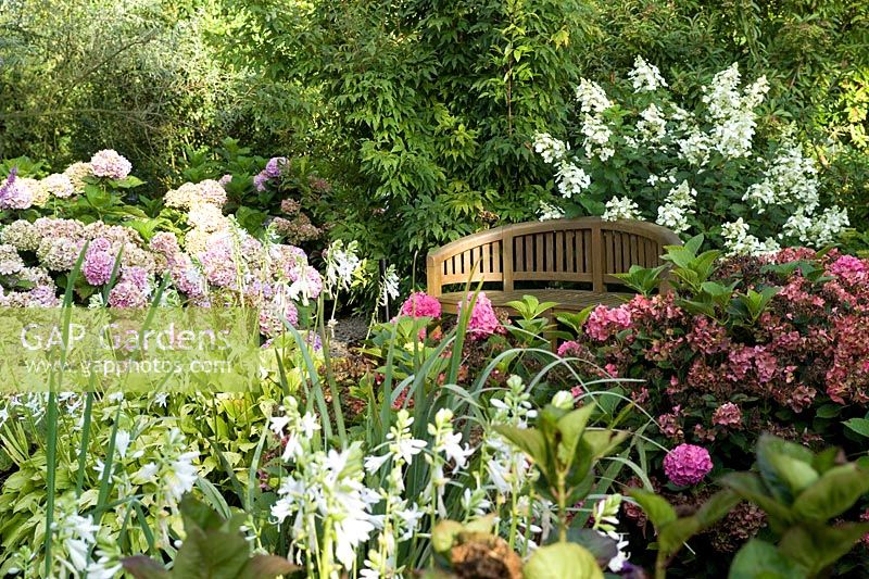 Seating area near pond with Hydrangea varieties, Belgian Hydrangea Society collection and display garden 2007.