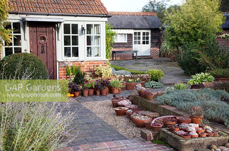 Collection of potted succulents in stone sink including Aloe, Yucca, Sempervivum, Echeveria, Aeonium. Fading stems of Perovskia - Russian Sage and large Buxus - Box ball by door of house. Behind weatherboarded garden room.