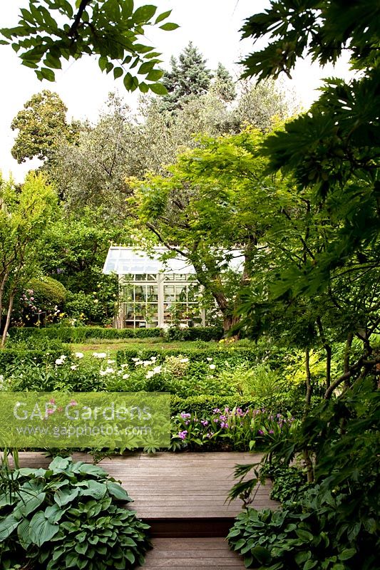 A view of the garden from the house. In the foreground Rose 'Rose of Picardy', Hellebores, White Peonies, Olive Tree and Lagerstroemia. Glasshouse made by artisan Tommaso Scacchi. Milan. Italy.