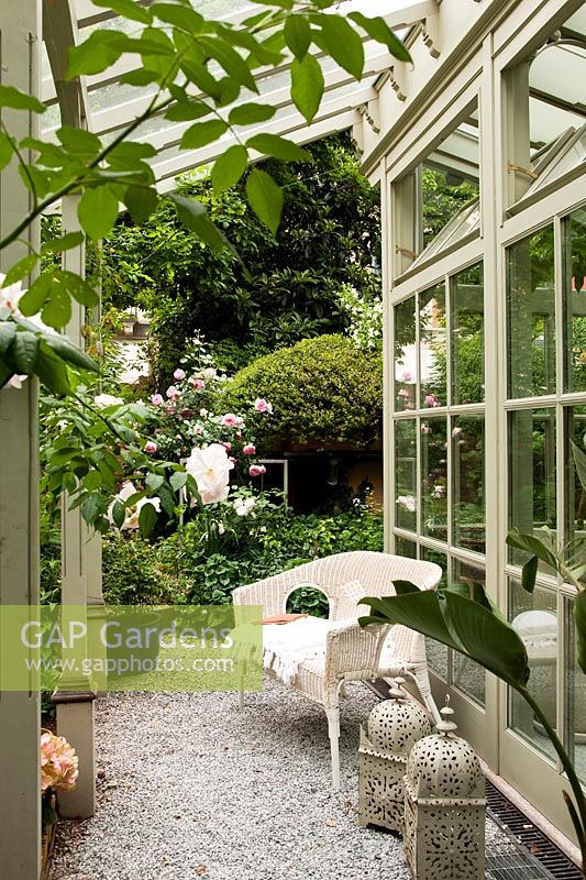 Conservatory with Rose 'Francis E. Lester' in the foreground and in the background Rosa 'Pierre de Ronsard'. Milan. Italy.