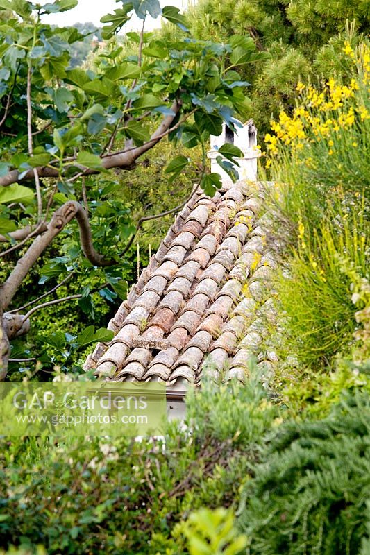 Tiled roof in Project garden, Macerata, Italy.