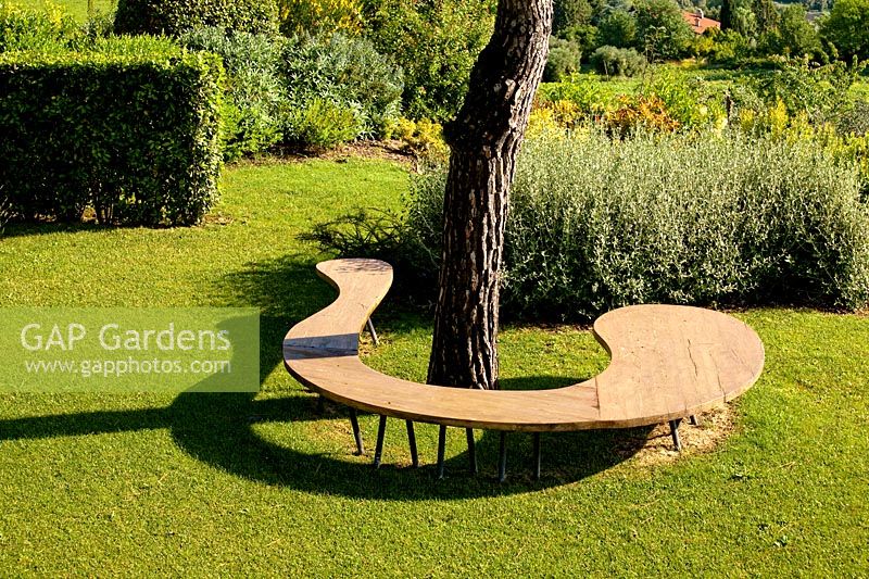 Curved wooden bench in Project garden, Macerata, Italy, June.