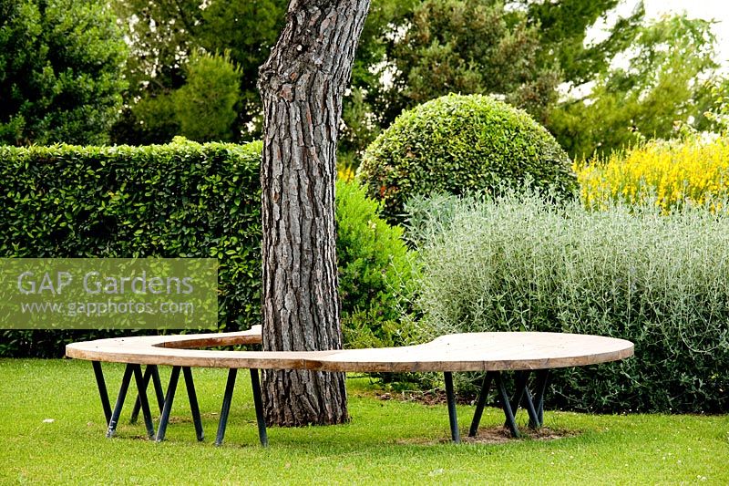 Curved wooden bench in in Project garden, Macerata, Italy, June.