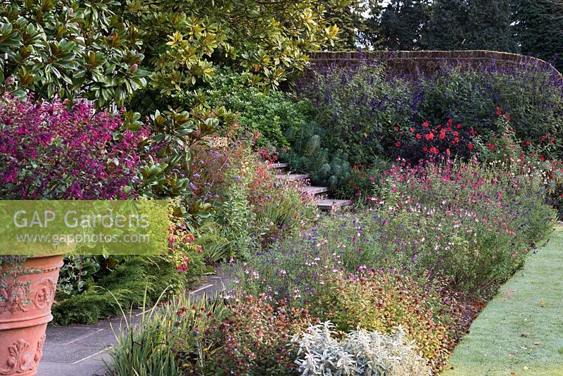Bordering a sunny terrace, a long bed of shrubby salvias that flower from early summer until November.