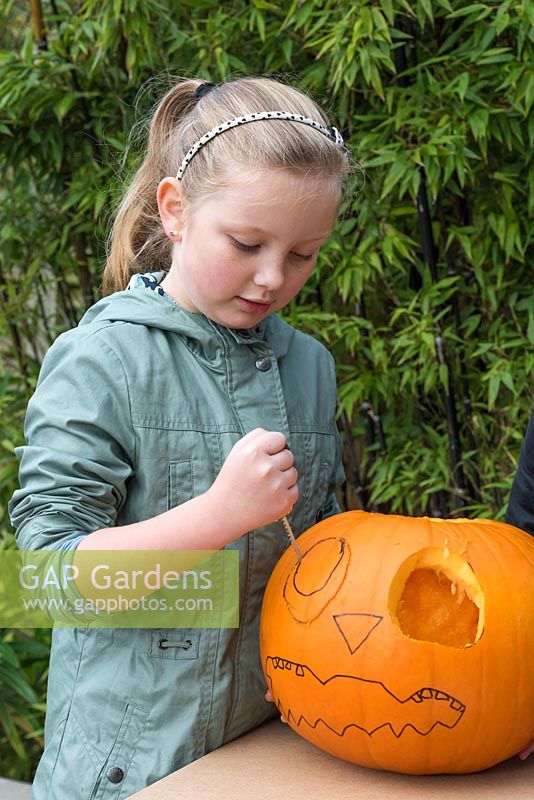 A young girl cuts out the outline of the second eye on a large pumpkin