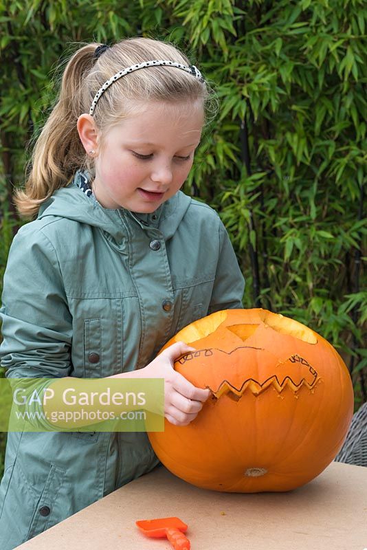 A young girl removes the outline of the mouth on a large pumpkin