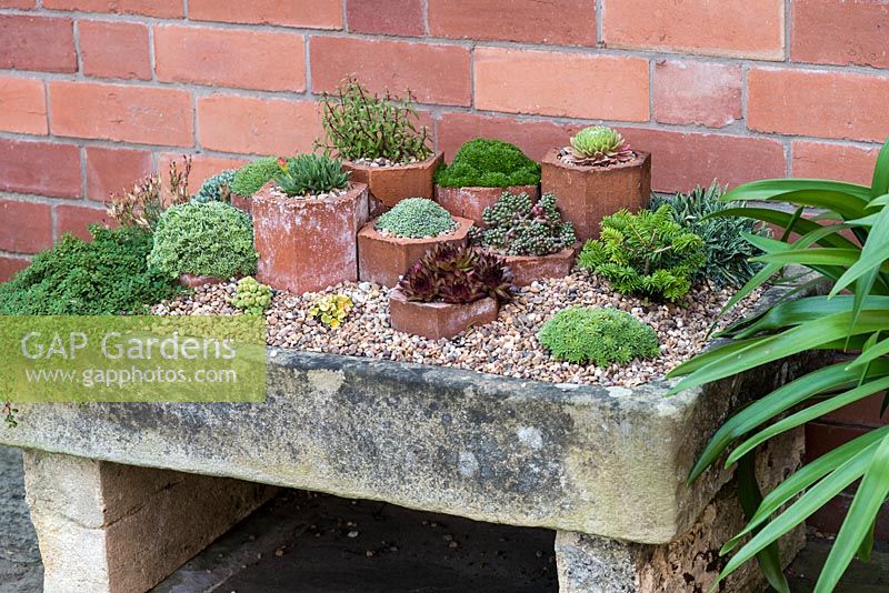 A stone trough planted with succulents and alpines, some raised up in sections of clay pipe.